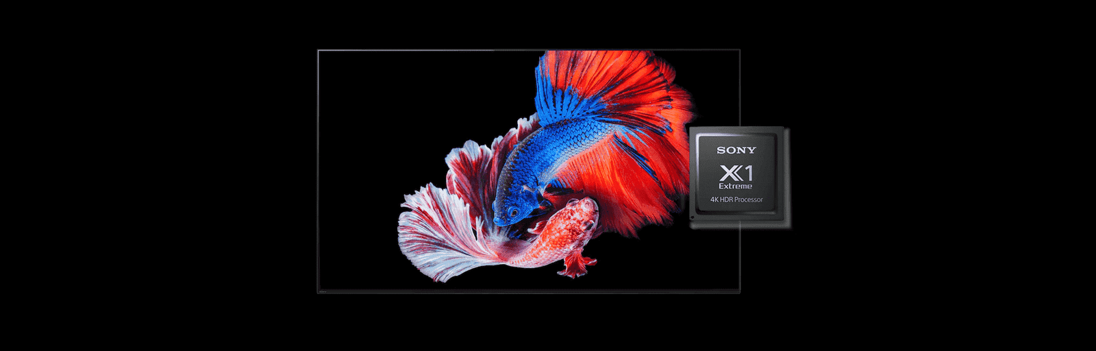 4K_HDR_processor