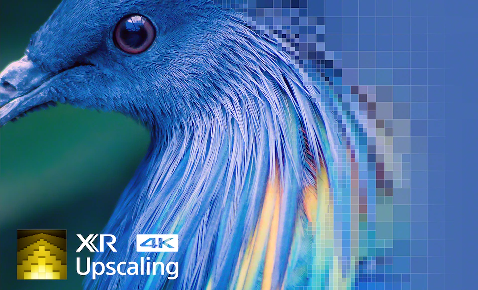 Upscaling_pixeled_blue_bird