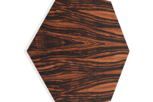 Vicoustic Vixagon VMT Natural Wood | 700 x 606 x 40mm | 6 τμχ.